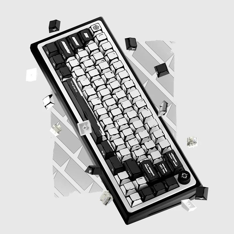 Tryhard Celshading HE ANSI FR White