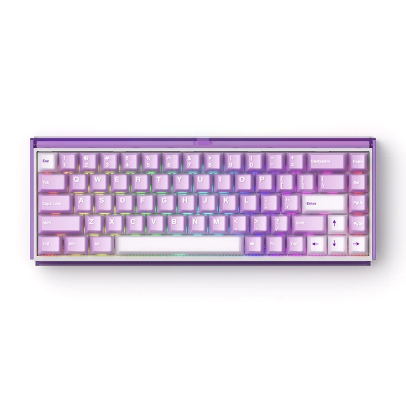 Akko RAY68 HE Wireless ANSI US Purple