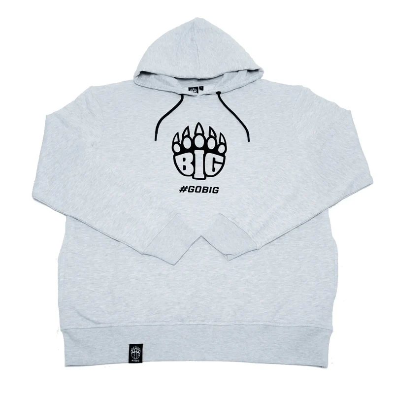 BIG Hoodie Origins Gray