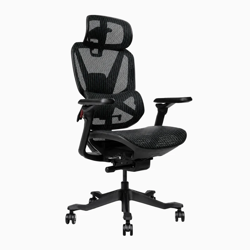 Desky Contourra Ergonomic Mesh Chair