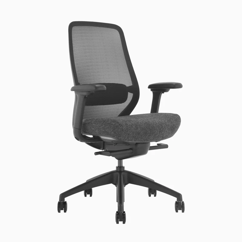 Desky CoilFlex Ergonomic Office Chair