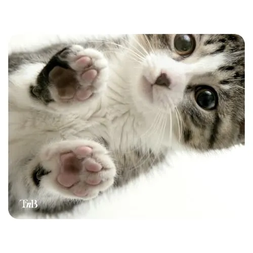 Tapis de souris illustré - KITTY